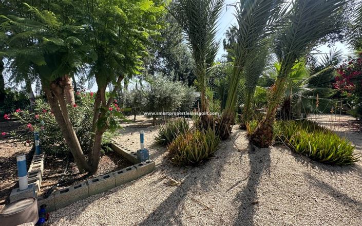 Image No.21-Maison de campagne de 3 chambres à vendre à Crevillente