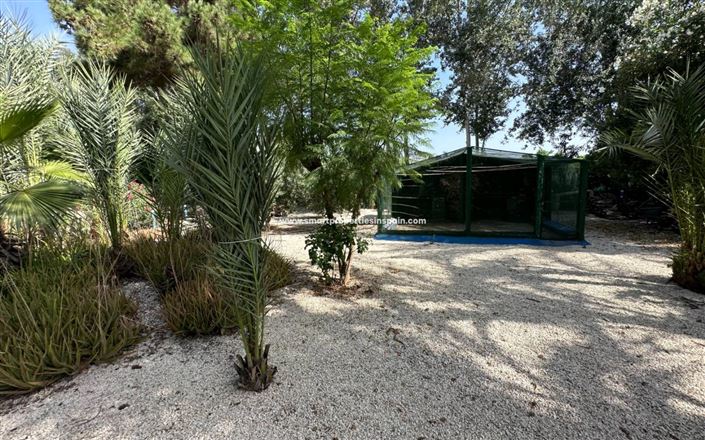 Image No.22-Maison de campagne de 3 chambres à vendre à Crevillente