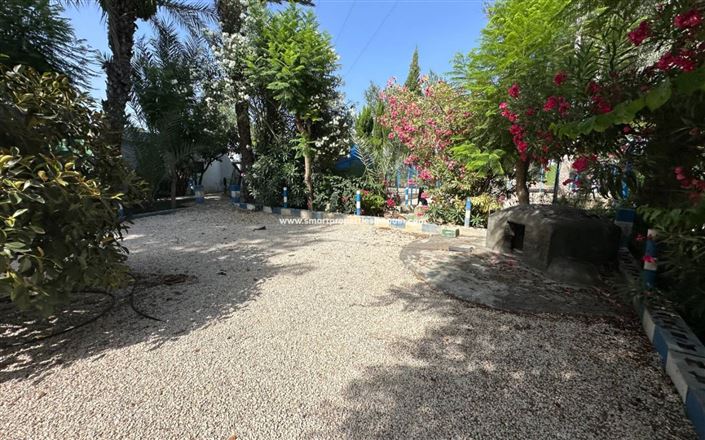 Image No.23-Maison de campagne de 3 chambres à vendre à Crevillente