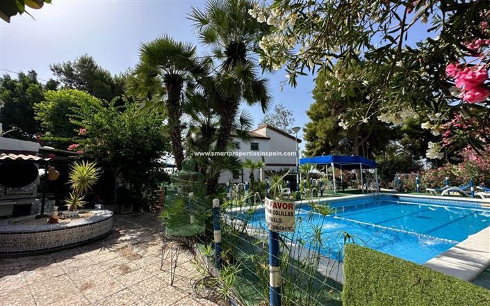 Image No.24-Maison de campagne de 3 chambres à vendre à Crevillente