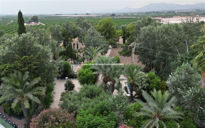 Image No.28-Maison de campagne de 3 chambres à vendre à Crevillente