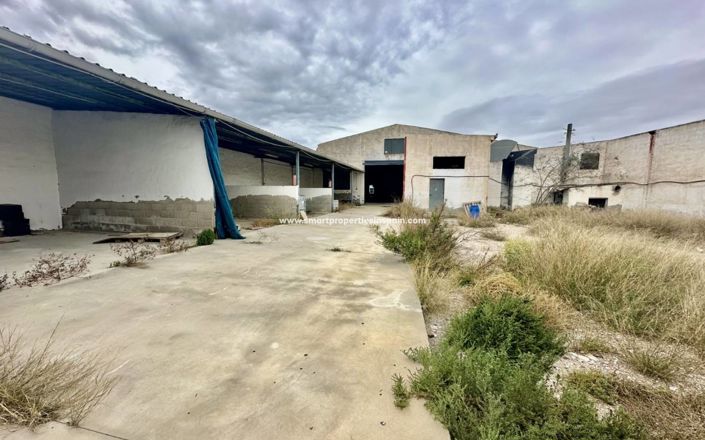 Image No.17-Propriété à vendre à Catral