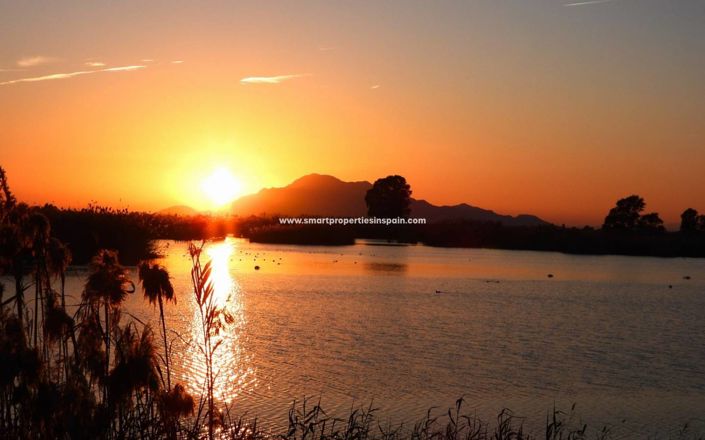 Image No.21-Commercial de 1 chambre à vendre à La Marina