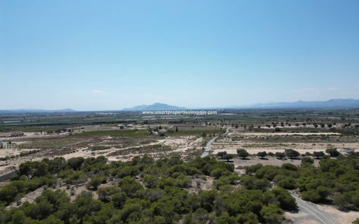 Image No.11-Terrain à vendre à Elche