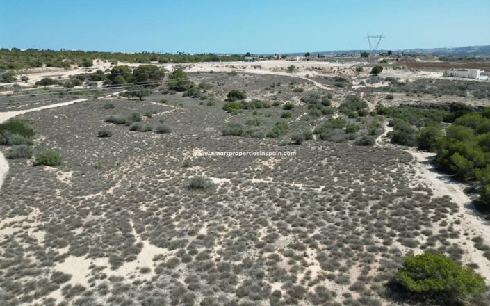 Image No.3-Terrain à vendre à Elche