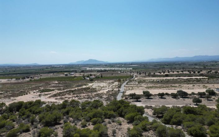 Image No.8-Terrain à vendre à Elche