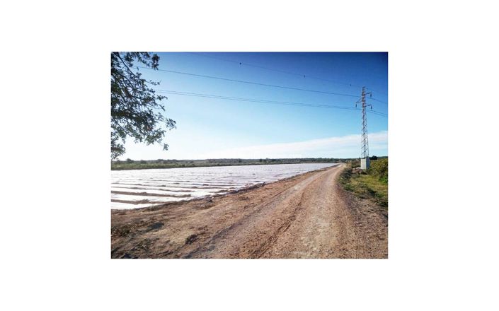 Image No.3-Plot for sale