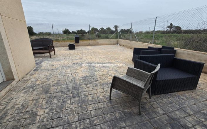 Image No.17-Maison de campagne de 6 chambres à vendre à Elche