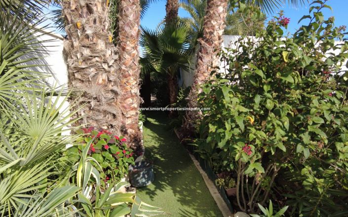 Image No.35-Maison de campagne de 4 chambres à vendre à Elche