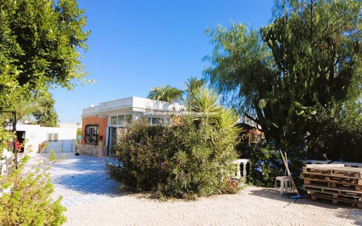 Image No.5-Maison de campagne de 4 chambres à vendre à Elche