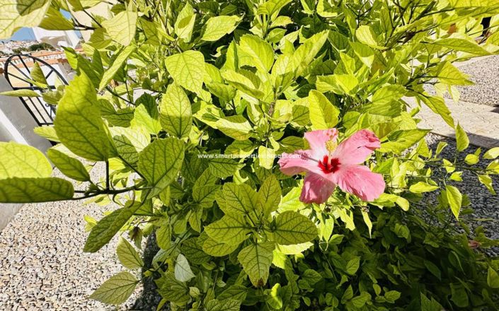 Image No.21-Villa de 3 chambres à vendre à La Marina