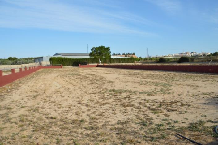 Image No.3-Finca for sale