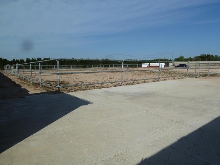 Image No.4-Finca for sale