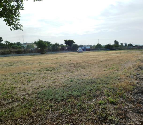 Image No.7-Finca for sale