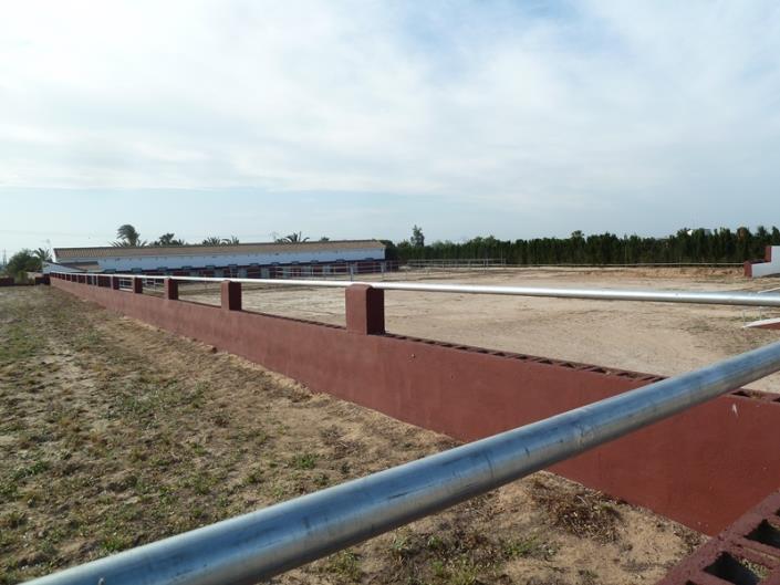 Image No.6-Finca for sale