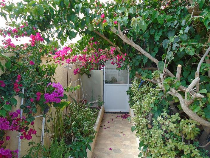 Image No.51-Maison de 3 chambres à vendre à Playa Flamenca