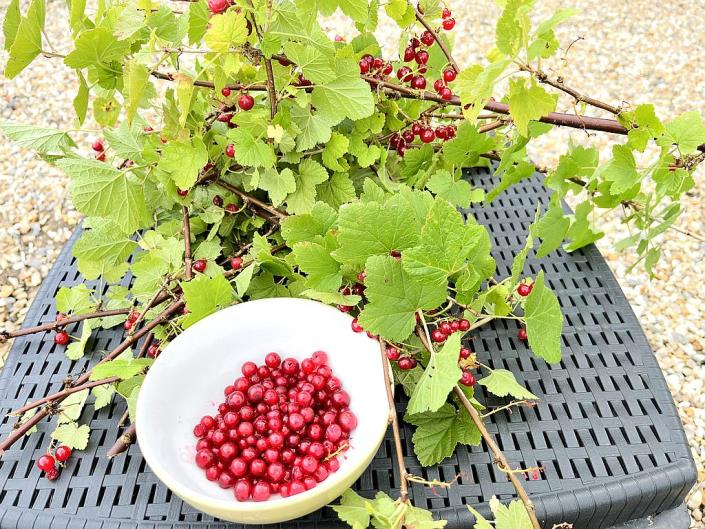 Image No.18-Villa / Détaché de 9 chambres à vendre à Eguzon-Chantôme