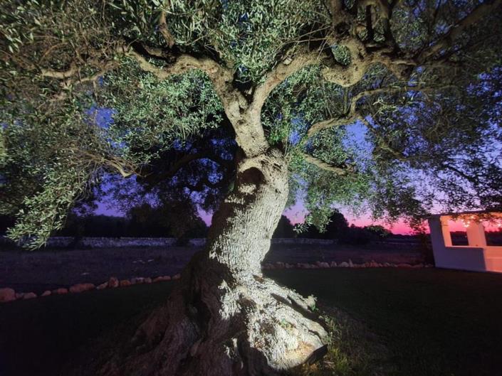 Image No.3-3 Bed House/Villa for sale