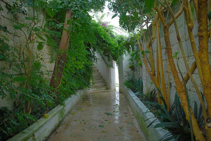 Image No.11-4 Bed House for sale