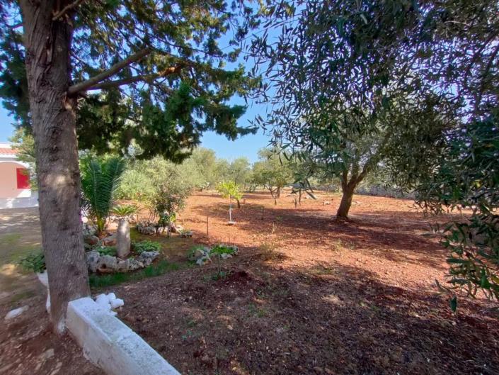 Image No.5-Villa de 2 chambres à vendre à Ostuni