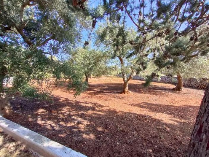 Image No.8-Villa de 2 chambres à vendre à Ostuni