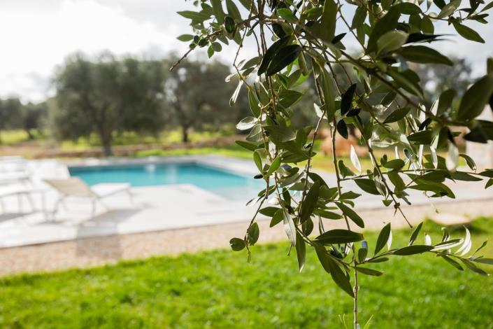 Image No.17-3 Bed Villa for sale