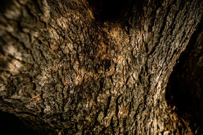 Image No.18-3 Bed Villa for sale