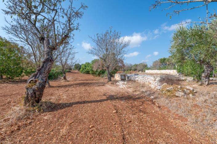 Image No.54-3 Bed Villa for sale