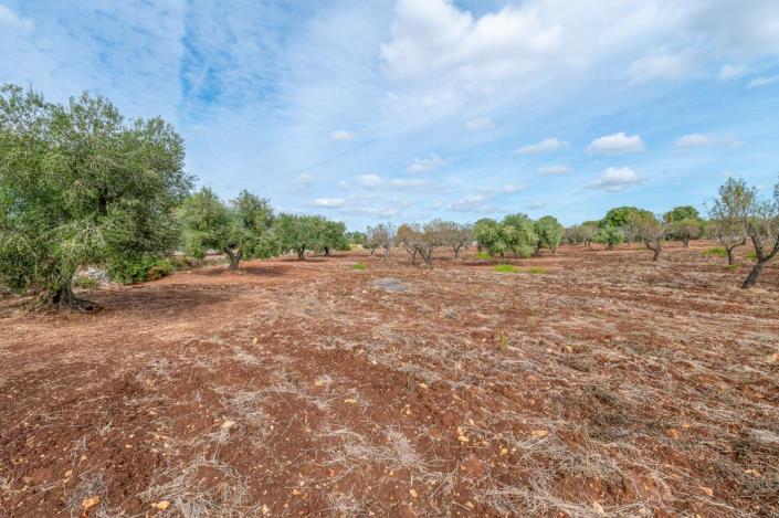 Image No.11-2 Bed Trullo for sale