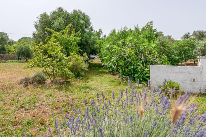 Image No.40-2 Bed Trullo for sale