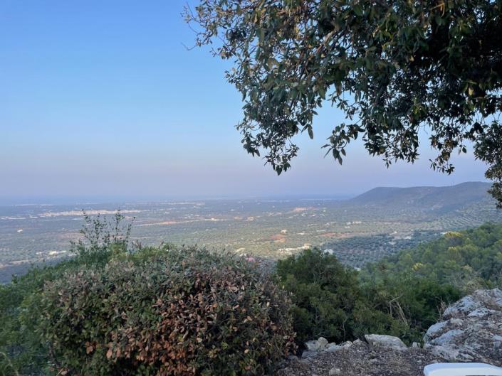 Image No.58-Villa de 3 chambres à vendre à Fasano