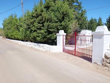 LA-TUA-IMMOBILIARE--VILLA-DEI-PINIimage00039