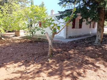 LA-TUA-IMMOBILIARE--VILLA-DEI-PINIimage00035