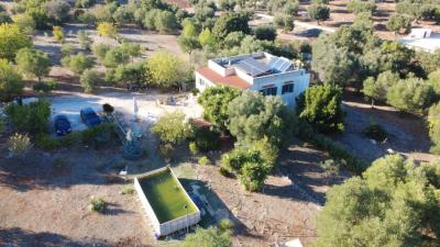 LA-TUA-IMMOBILIARE-VILLA-PADOLECCHIADJI_0942