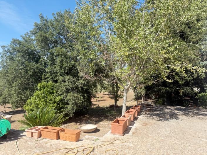 Image No.33-3 Bed Trullo for sale