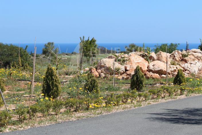 Image No.30-Villa de 5 chambres à vendre à Protaras