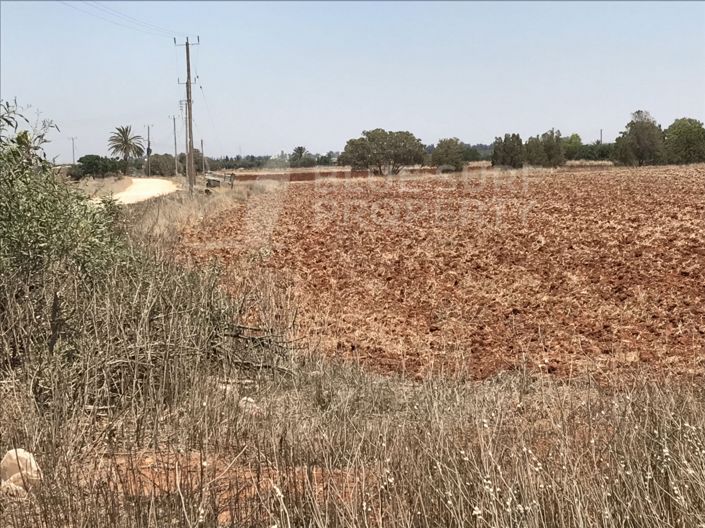 Image No.2-Propriété à vendre à Avgorou