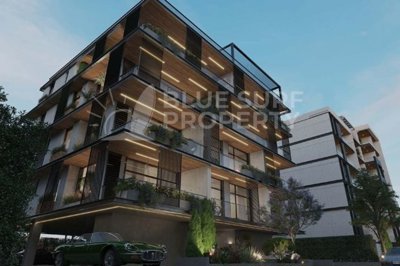 blues-002837-p-w-76k0uu2m1