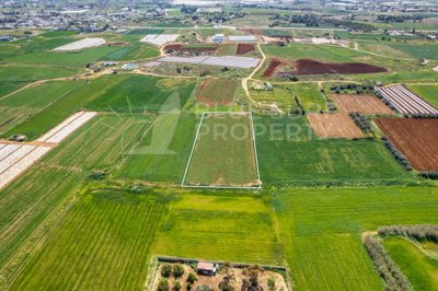 blues-003008-p-w-74s0sq8te