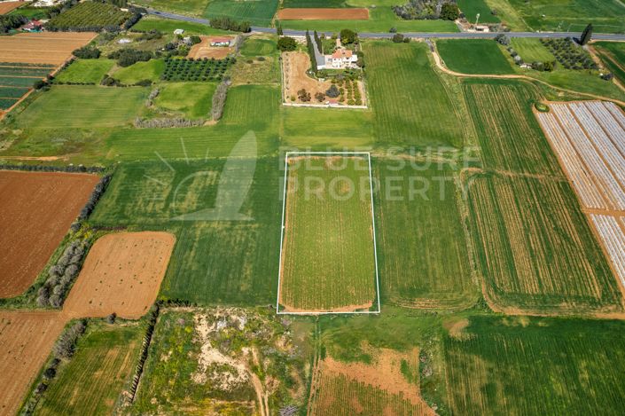 Image No.7-Propriété à vendre à Frenaros