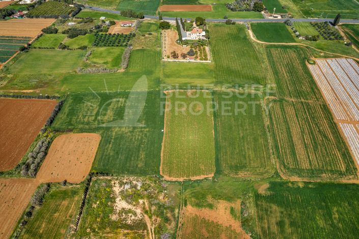 Image No.8-Propriété à vendre à Frenaros