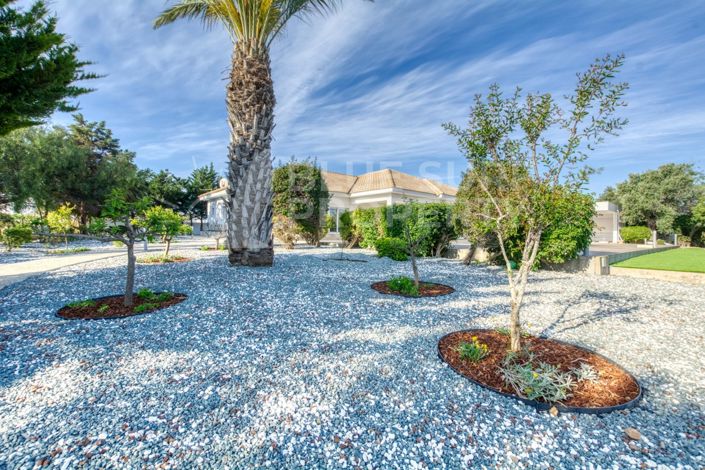 Image No.37-Bungalow de 4 chambres à vendre à Protaras