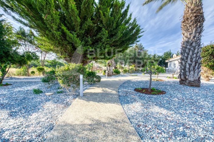 Image No.38-Bungalow de 4 chambres à vendre à Protaras