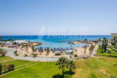 blues-003286-p-w-7860lejq7