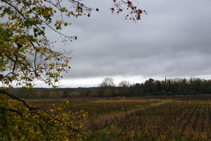 Image No.22-9 Bed Country Property for sale