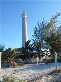 12742254_1559235114390896_7675060291657742741_n