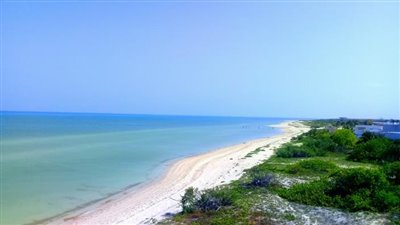 34829437_10216192150734268_7325118503453720576_n