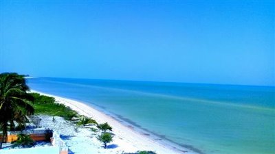 34863439_10216192151934298_7944762905650528256_n