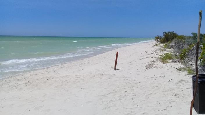 Image No.19-Maison / Villa de 4 chambres à vendre à Merida