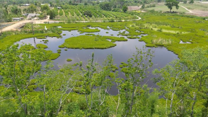 Image No.5-Land for sale